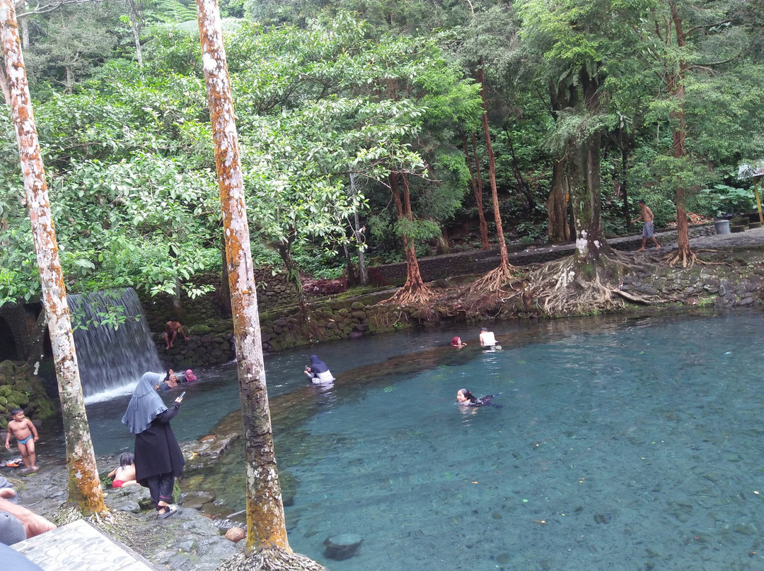 Pemandian Tirta Alami景点图片