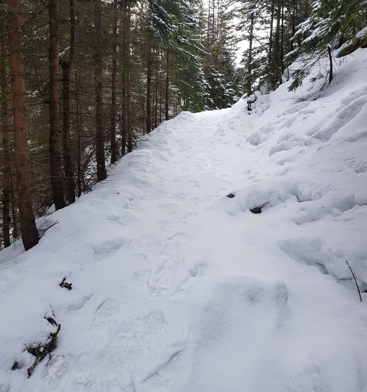 Wielki Kopieniec-扎科帕内必去景点