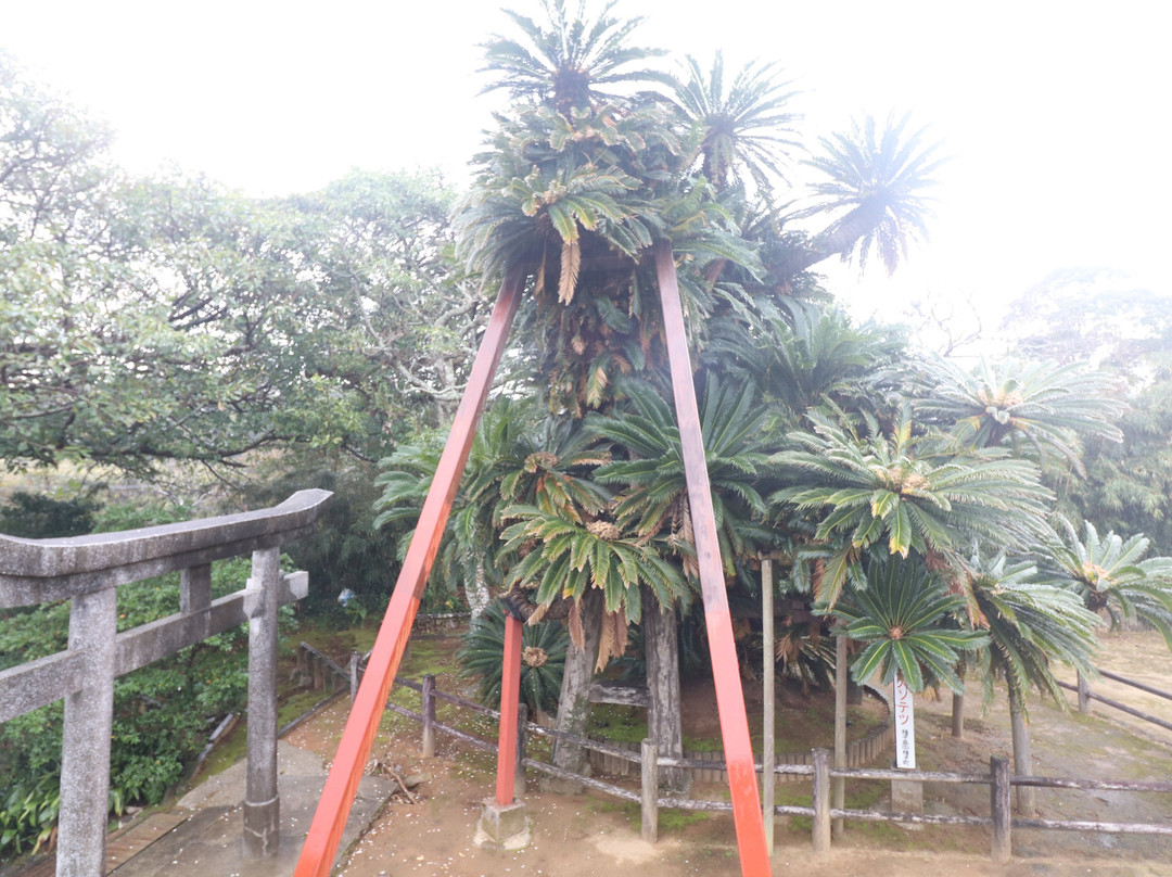 Sakai Shrine-中种子町必去景点
