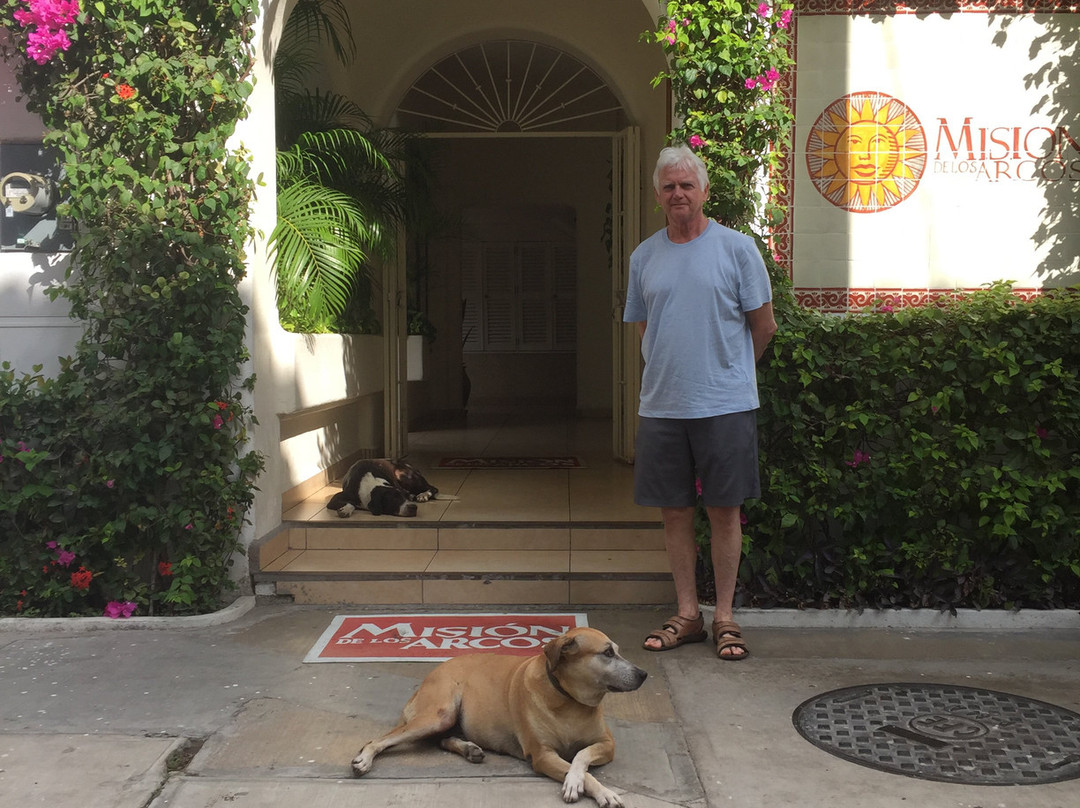 Mision de los Arcos主图