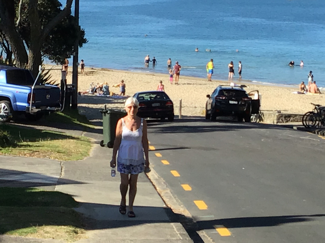 塔卡普纳海滩-奥克兰中心地区必去景点