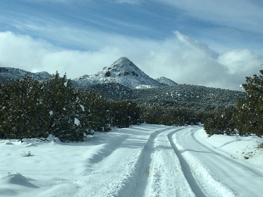 Size Matters-Buckeye必去景点