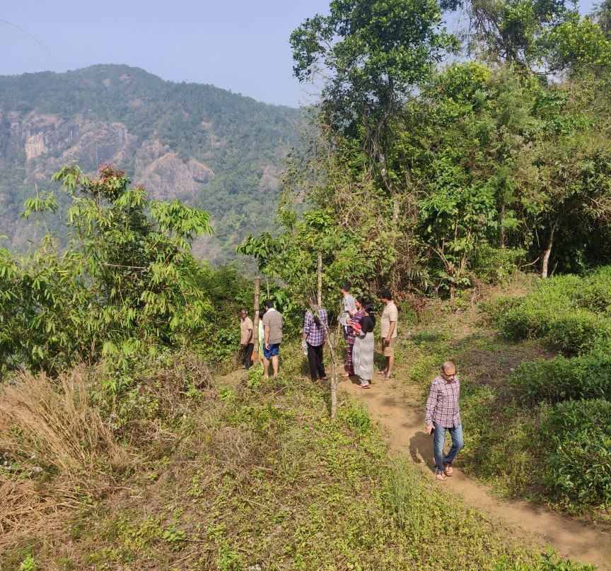 Meenmutty Heights主图