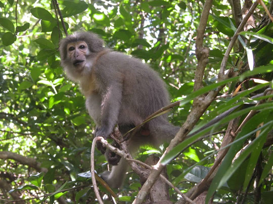 null-Udzungwa Mountains National Park