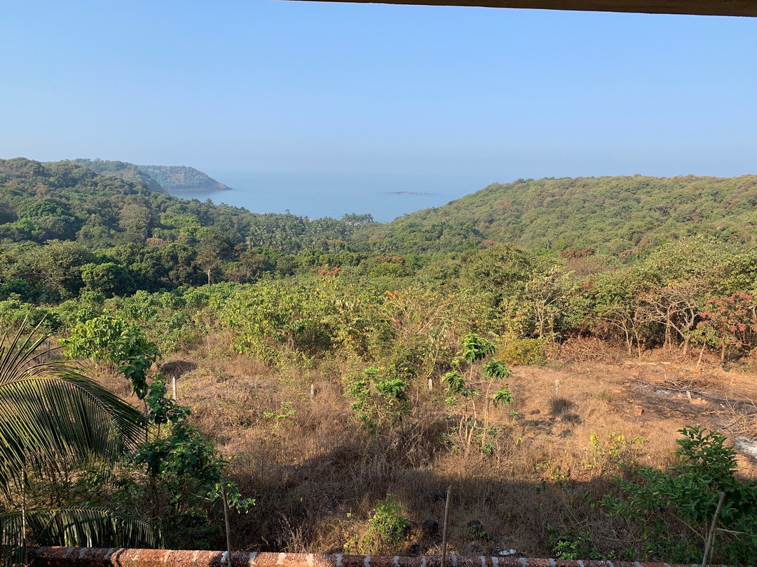 Sirnaiks Ocean View主图