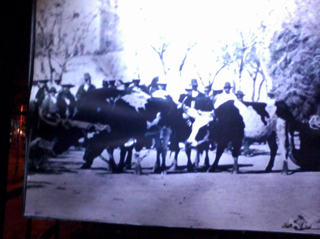 Catedral de Nuestra Señora de Guadalupe-华瑞兹城必去景点