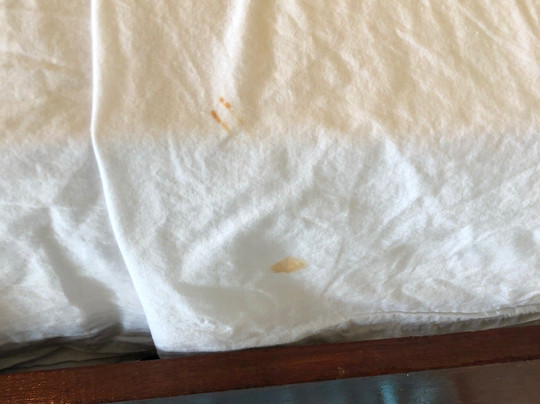 The Sea Monkey主图