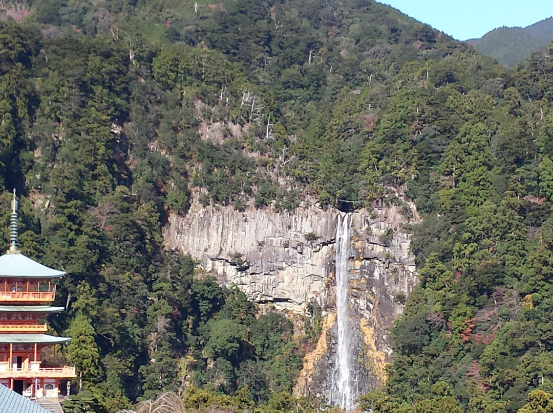 Nachi Primeval Forest-那智胜浦町必去景点