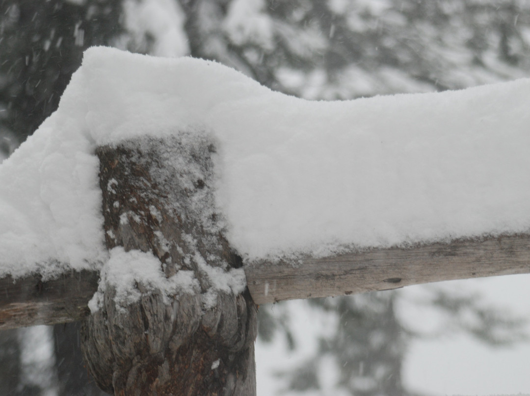 Odell Lake Lodge & Resort主图