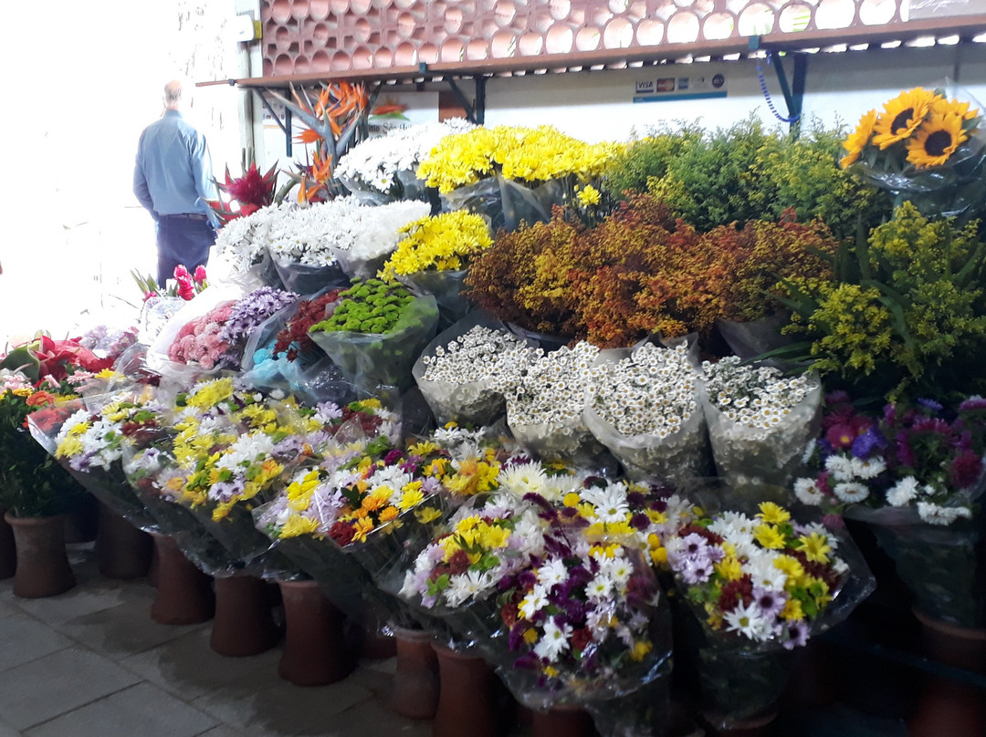 Hortomercado-彼得罗波利斯必去景点