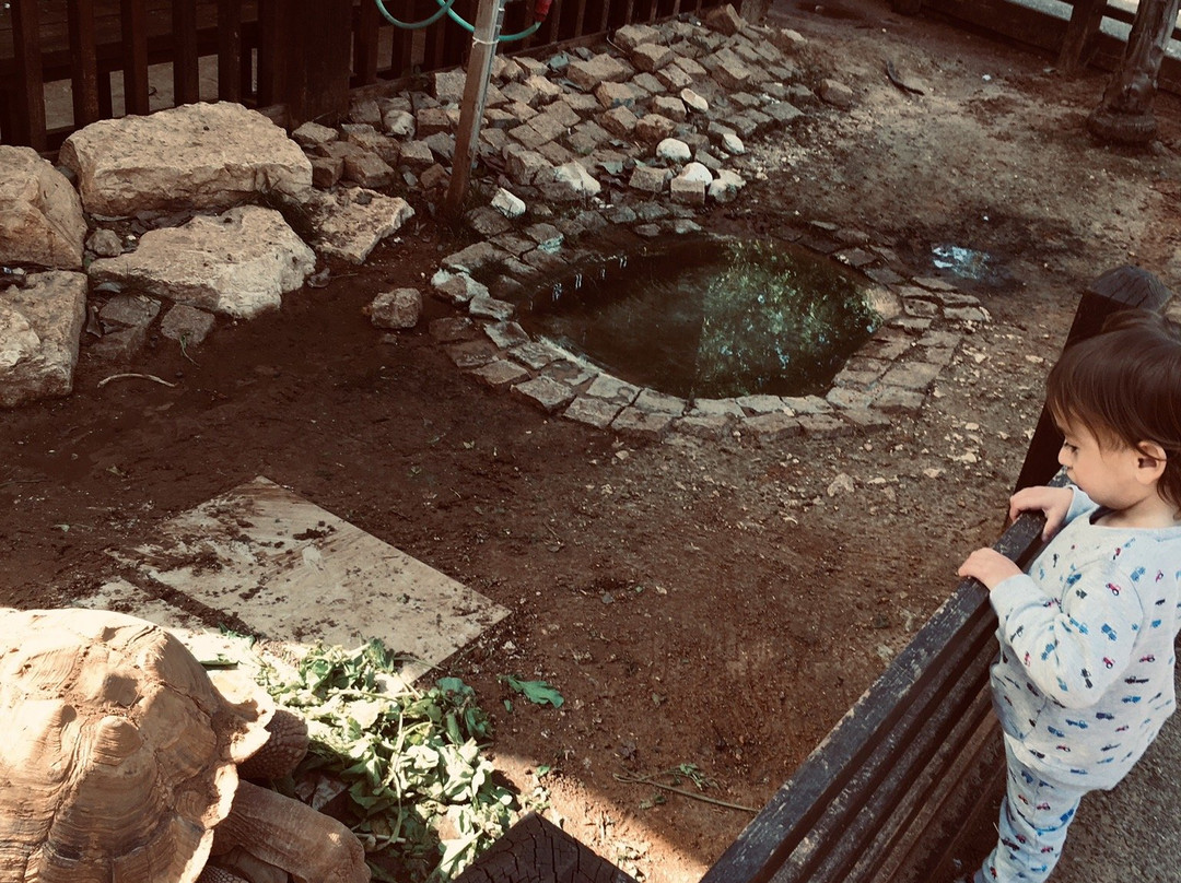 Kfar Saba Park-Kefar Sava必去景点