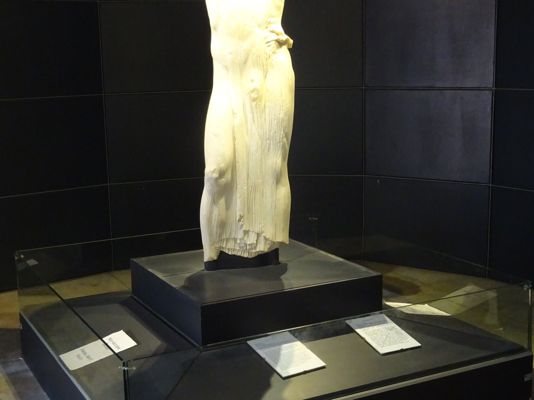 Museo Whitaker-马尔萨拉必去景点