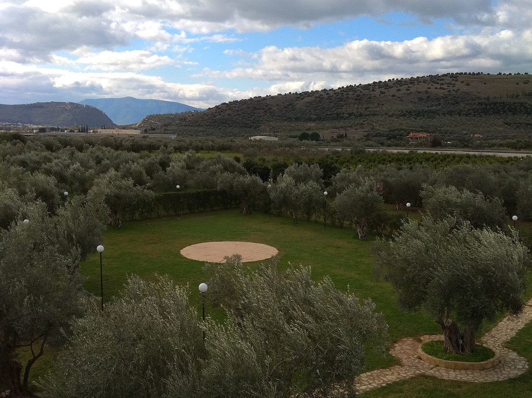 Agroktima Elia主图