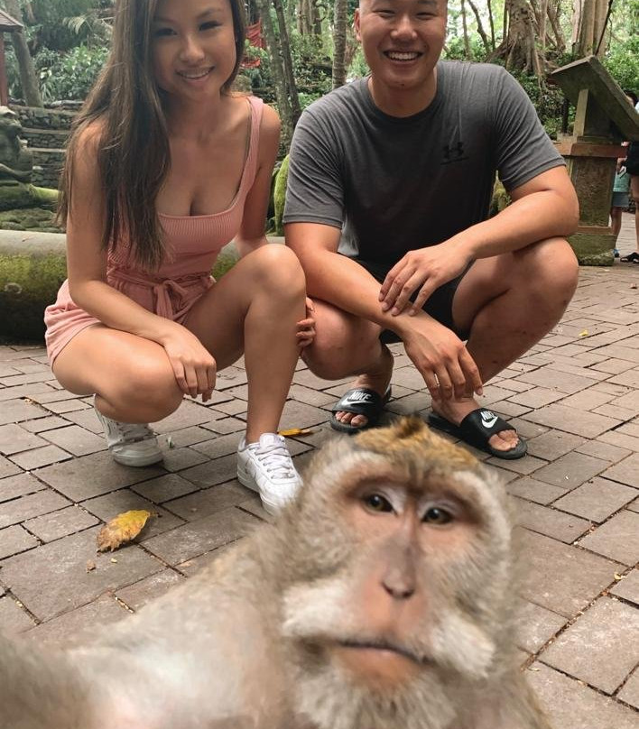 Adventures by Arie-登巴萨必去景点