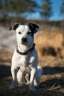 Cavalos na Areia-Comporta必去景点