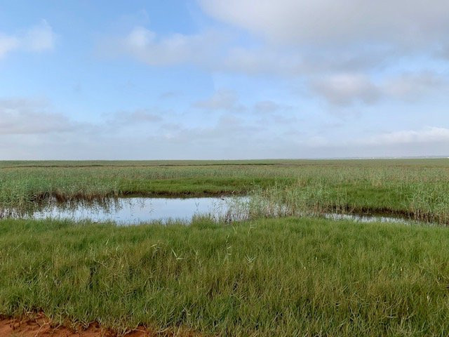 Kingdom Birding-德班必去景点