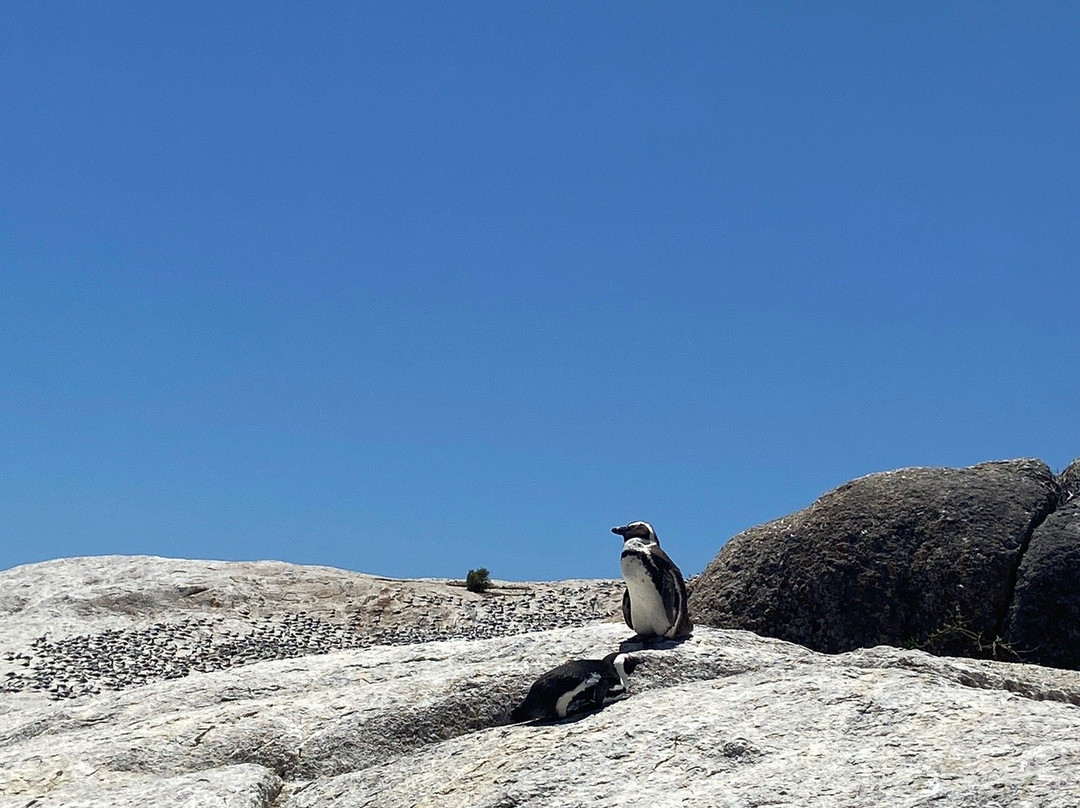 托斯卡纳别墅主图