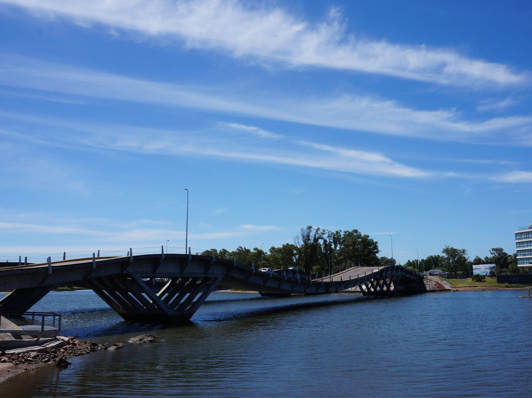 Puente Leonel Viera景点图片