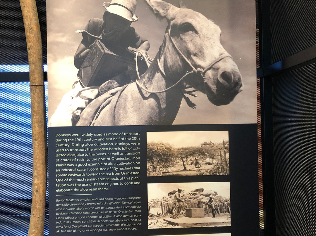 Museum of Industry-San Nicolas必去景点