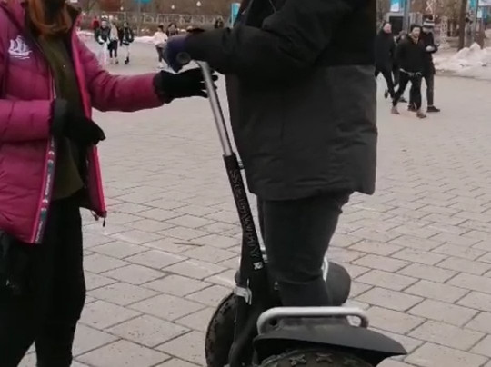 Eco Tours Montreal-蒙特利尔必去景点