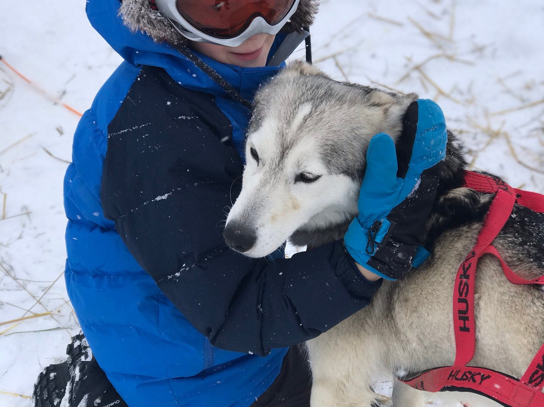Fundog Husky Sleigh Rides景点图片