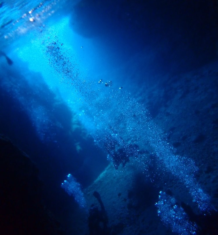 Diving Shop Natural Blue-读谷村必去景点