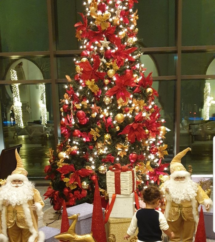 阿治曼萨雷豪华集团度假酒店主图