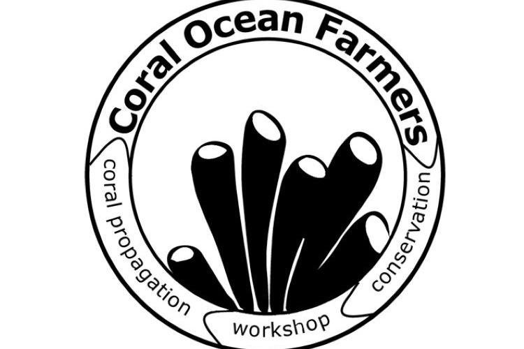 Coral Ocean Farmers internship / volunteering-Panglao必去景点