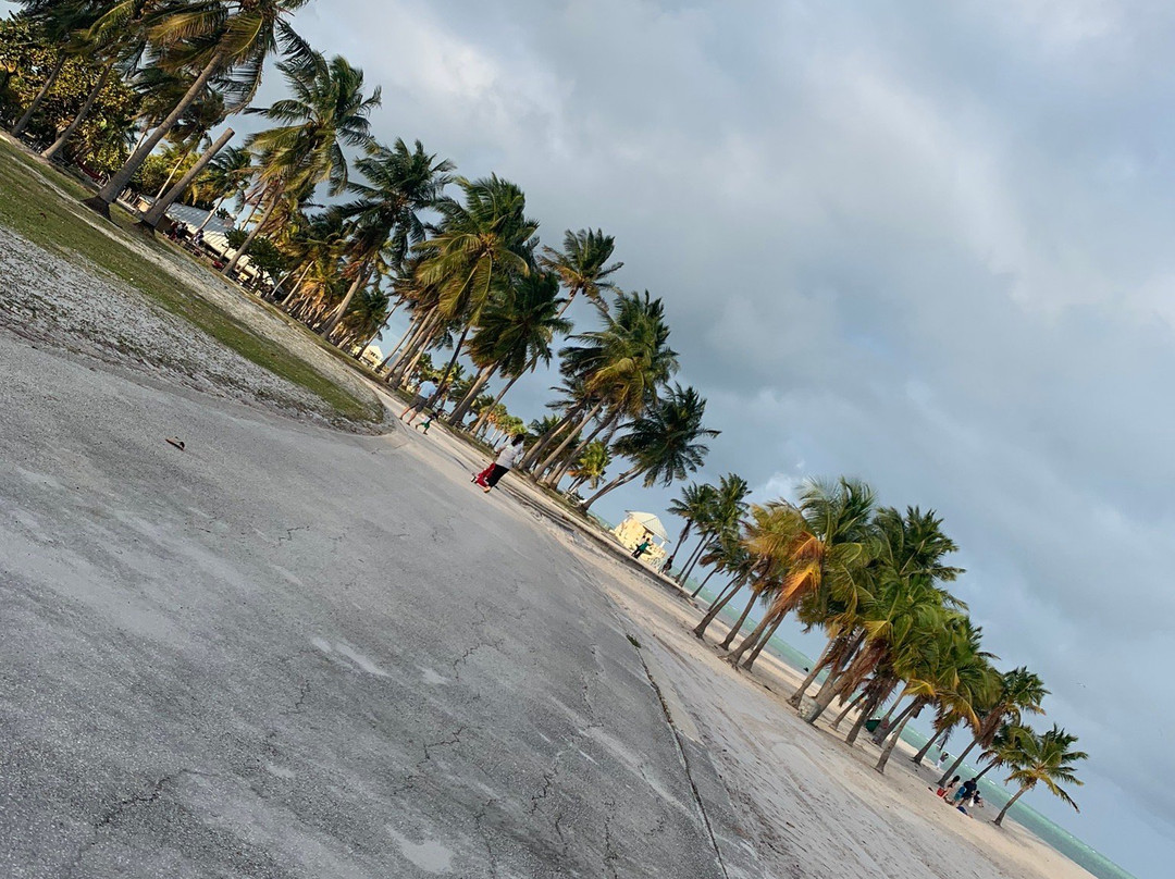 Crandon Park Marina-比斯坎湾必去景点