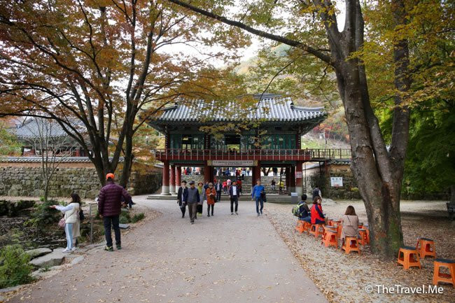 Naejangsa Temple-井邑市必去景点