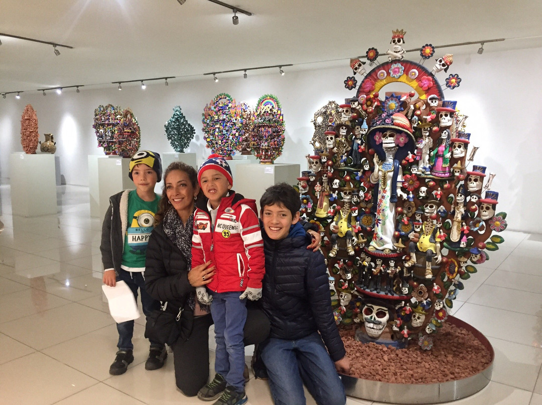 Museo Del Barro景点图片