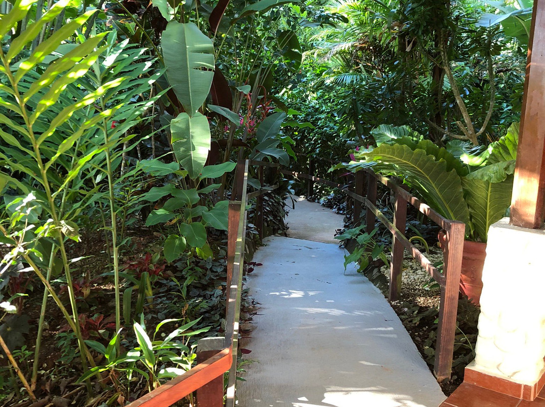 Villas En El Bosque主图