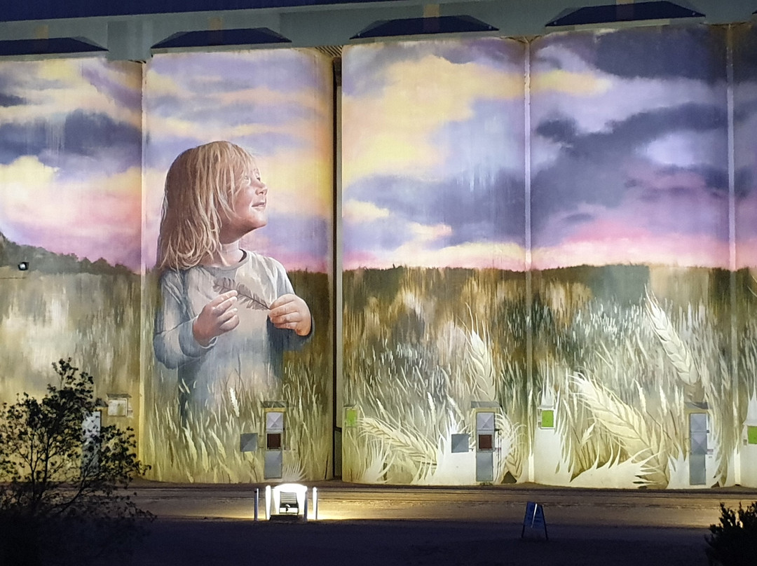 Viterra’s Kimba Silos-Kimba必去景点