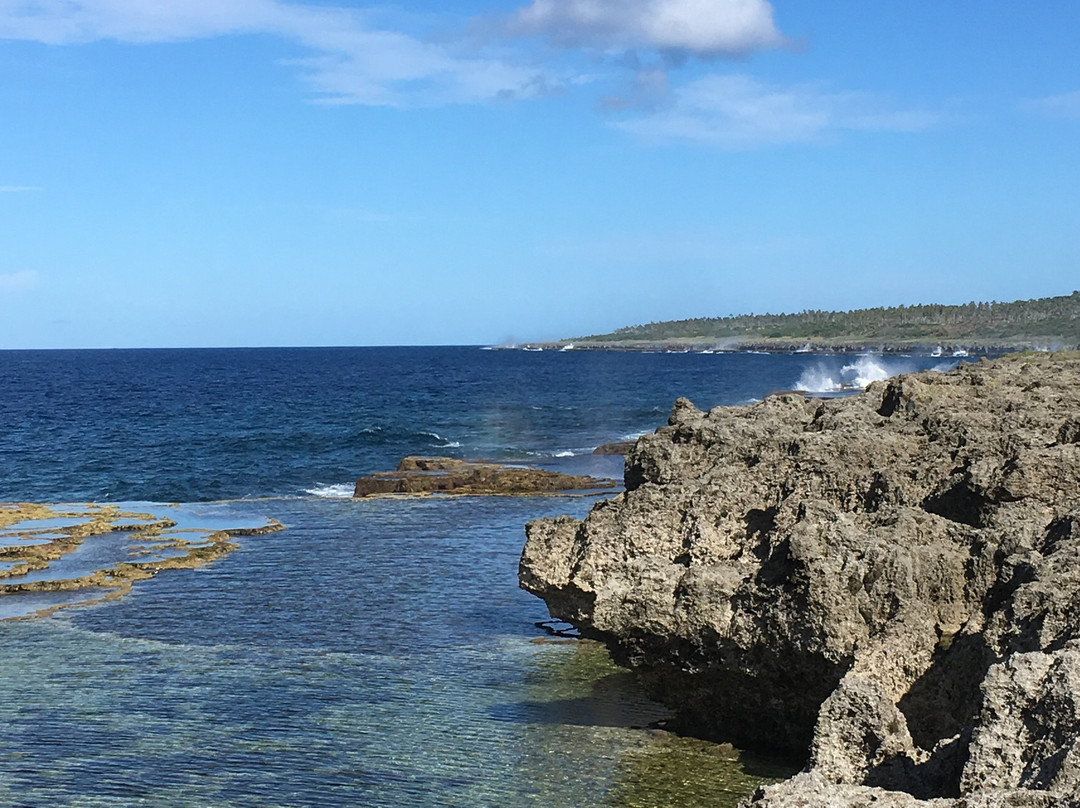 Mapu'a 'a Vaea Blowholes-Tongatapu Island必去景点