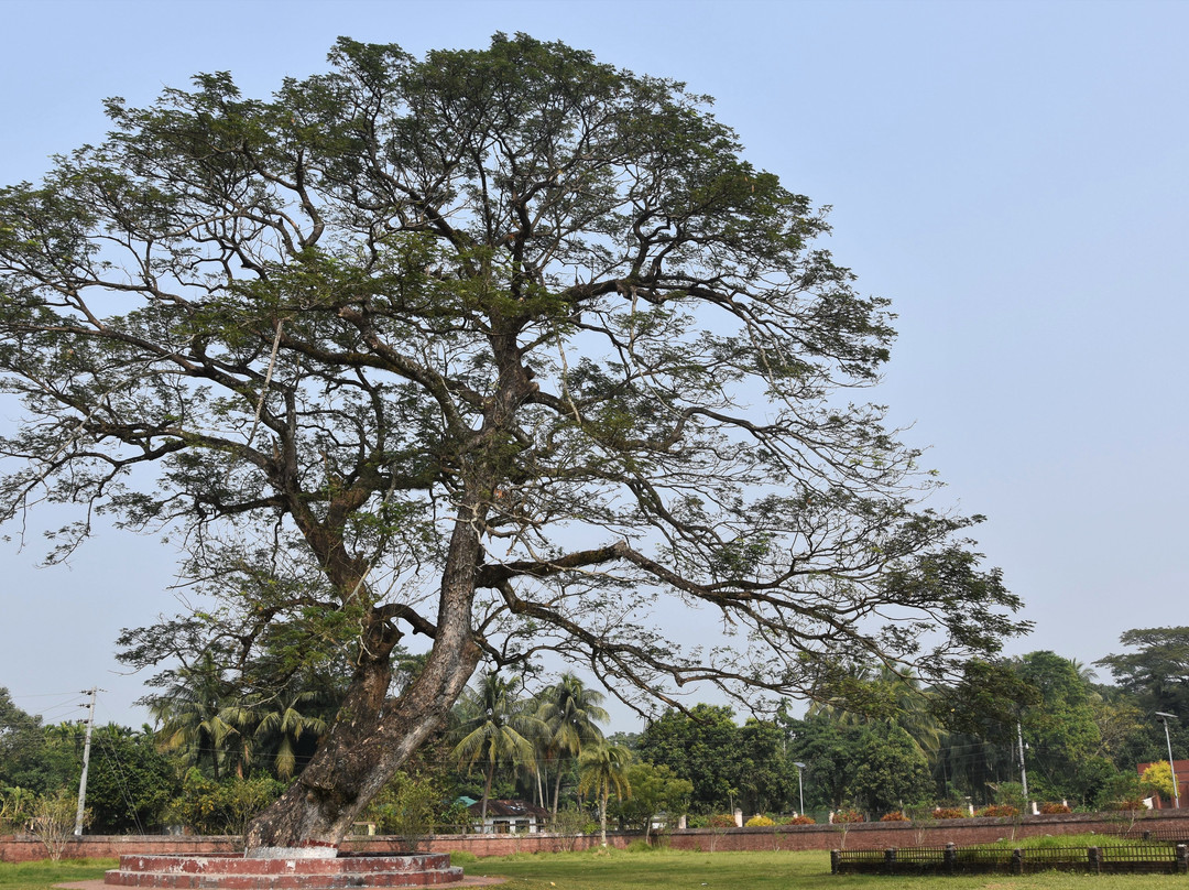 Shait-Gumbad Mosque-巴凯尔哈特必去景点