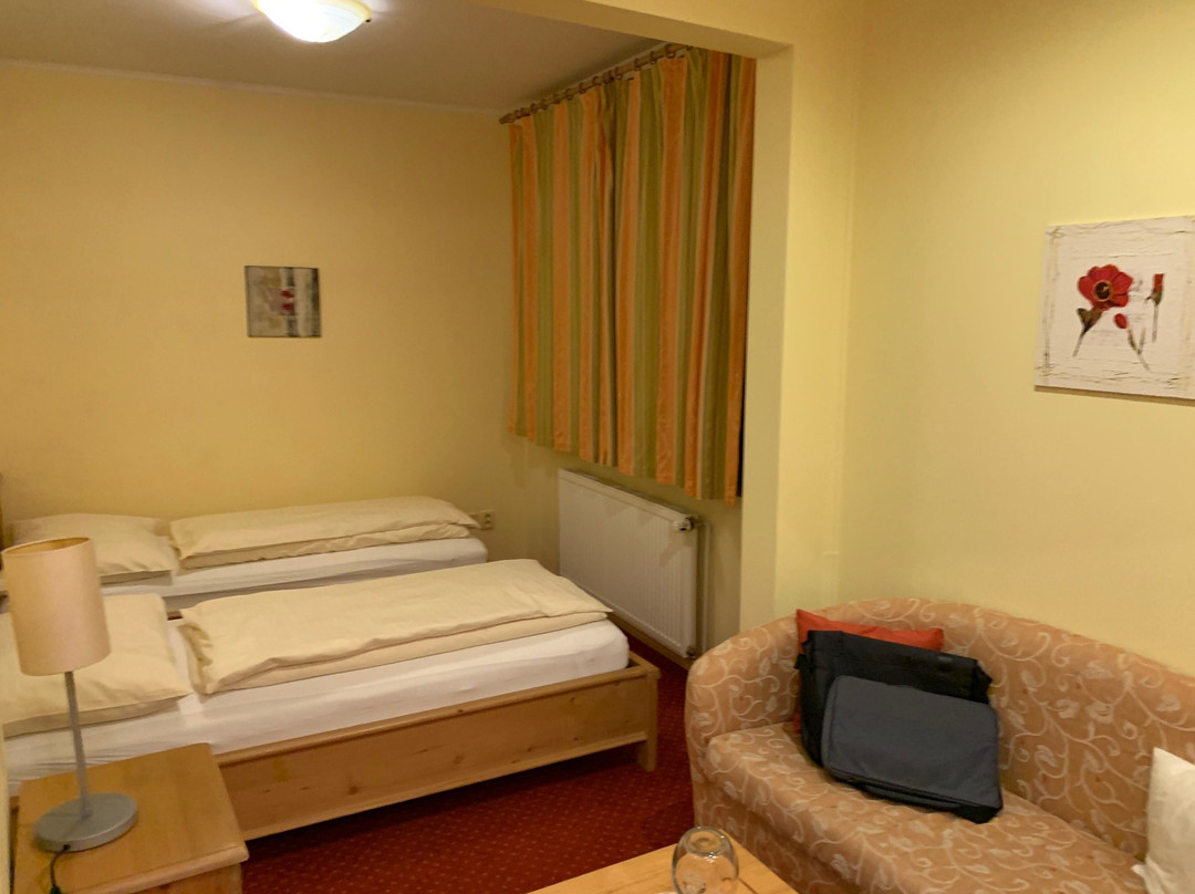 Hotel Zlata Lipa主图