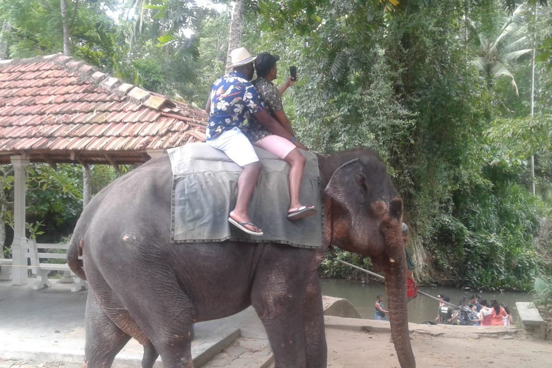 Hey Lanka Travels景点图片