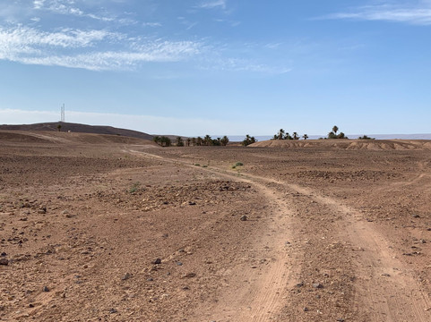 L'oasis Sacree-El Gouera必去景点