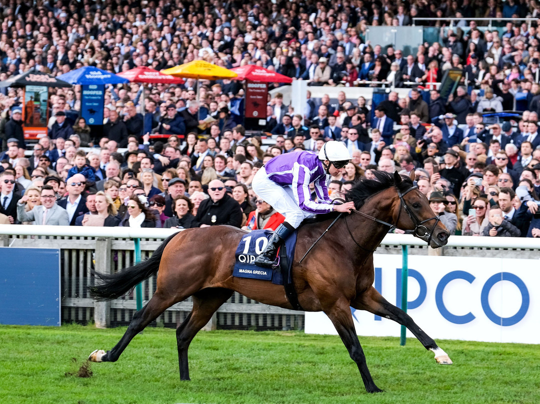 Newmarket Racecourses景点图片