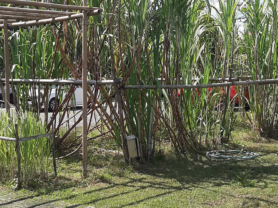 The Distillery Phuket - Home of Chalong Bay-查龙必去景点