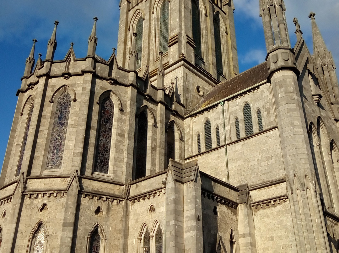 St. Mary's Catholic Cathedral-基尔肯尼必去景点