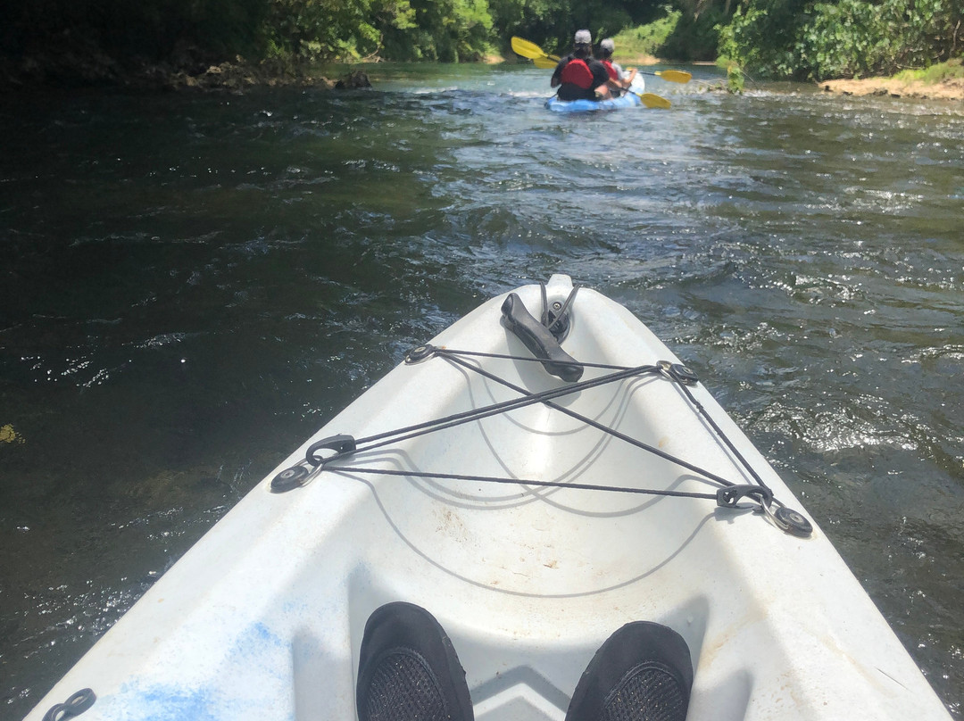 Island Time Kayaking Tours - Day Tours-卢甘维尔必去景点
