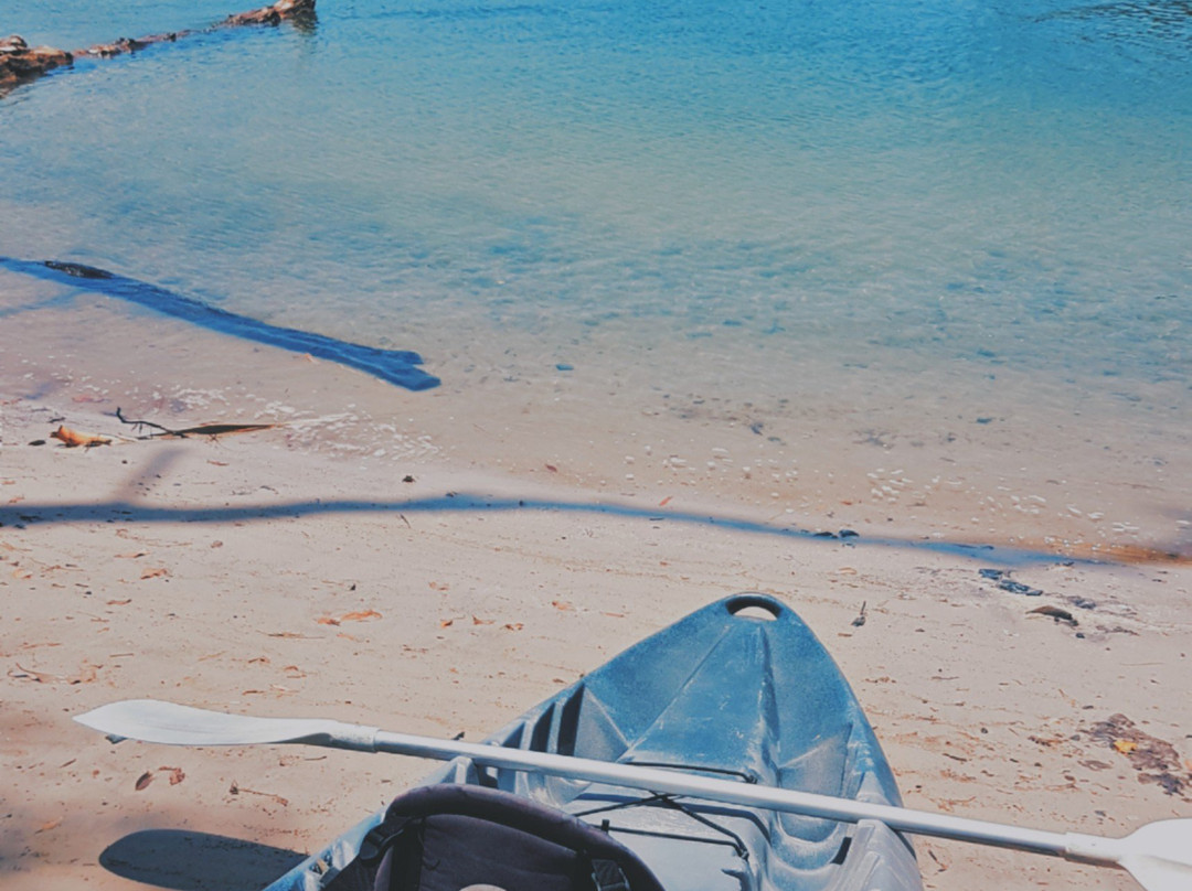 Action Outdoor Hire-棕榈海滩必去景点