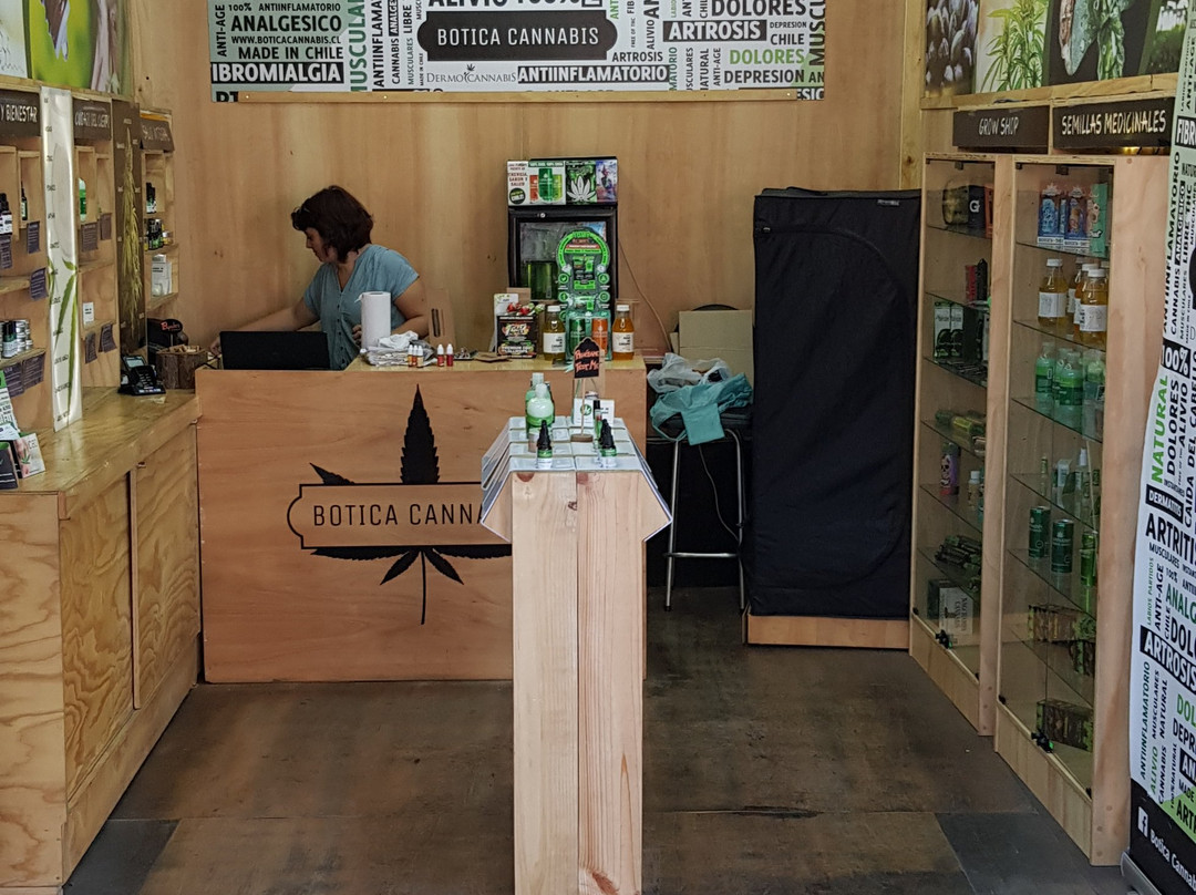 Centro Artesanal Santa Lucia-圣地亚哥必去景点