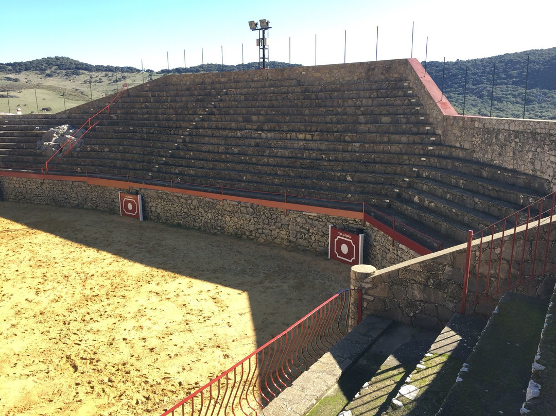 Plaza de Toros景点图片