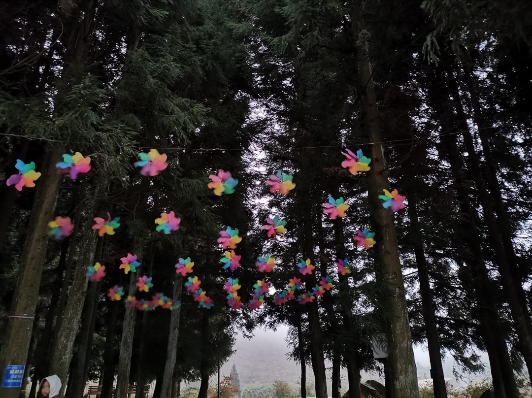 铭雨龙缸假日大酒店主图