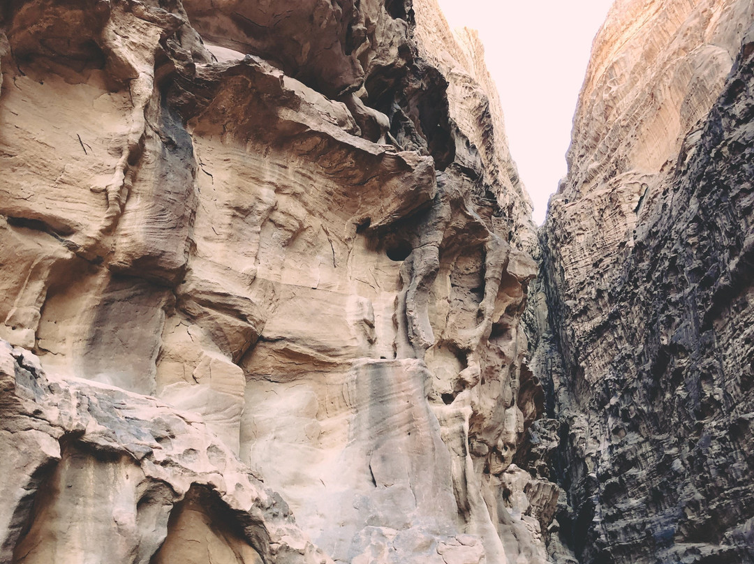 Wadi Rum Safari-Wadi Rum Village必去景点