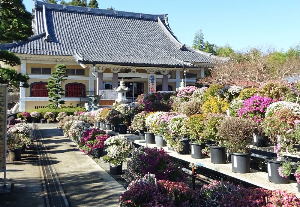 Soseiji Temple-小田原市必去景点