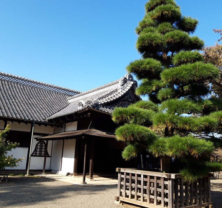 Kodokan Park景点图片