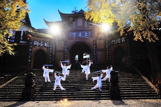 panda tour tailor-成都必去景点